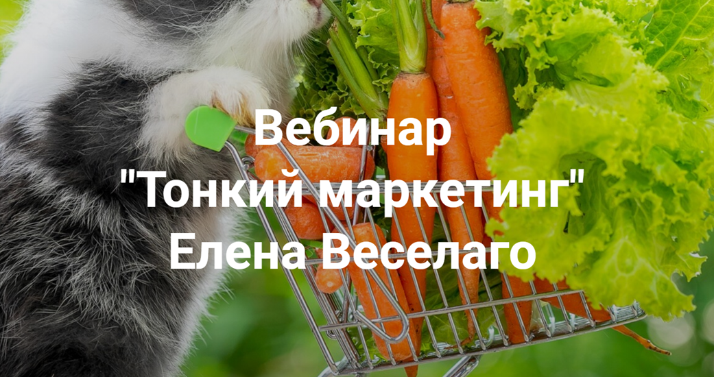 [Институт Открытого поля] Елена Веселаго ― Тонкий _0.png